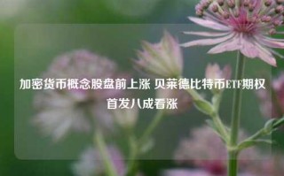 加密货币概念股盘前上涨 贝莱德比特币ETF期权首发八成看涨