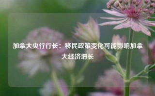 加拿大央行行长：移民政策变化可能影响加拿大经济增长