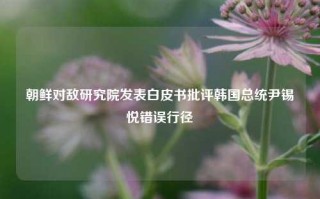 朝鲜对敌研究院发表白皮书批评韩国总统尹锡悦错误行径