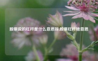 股票说的杠杆是什么意思呀,股票杠杆啥意思