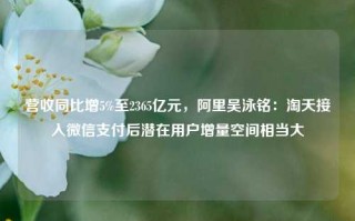 营收同比增5%至2365亿元，阿里吴泳铭：淘天接入微信支付后潜在用户增量空间相当大