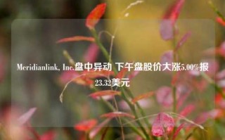 Meridianlink, Inc.盘中异动 下午盘股价大涨5.00%报23.32美元