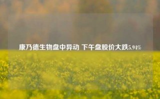 康乃德生物盘中异动 下午盘股价大跌5.94%