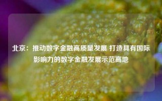 北京：推动数字金融高质量发展 打造具有国际影响力的数字金融发展示范高地