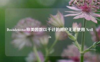 Downdetector称美国数以千计的用户无法使用 Netflix