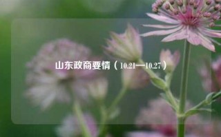 山东政商要情（10.21—10.27）