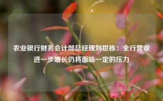 农业银行财务会计部总经理刘世栋：全行营收进一步增长仍将面临一定的压力