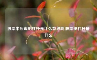 股票中所说的杠杆是什么意思啊,股票里杠杆是什么