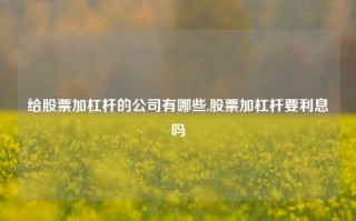 给股票加杠杆的公司有哪些,股票加杠杆要利息吗