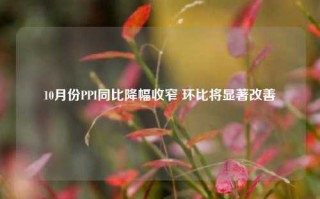 10月份PPI同比降幅收窄 环比将显著改善