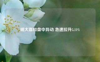 明大嘉和盘中异动 急速拉升5.11%