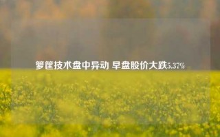 箩筐技术盘中异动 早盘股价大跌5.37%