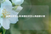 股票杠杆怎么用,股票杠杆怎么用函数计算