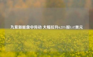 九紫新能盘中异动 大幅拉升6.21%报1.47美元