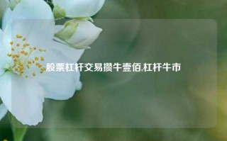 股票杠杆交易攒牛壹佰,杠杆牛市