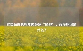 这类金融机构年内多家“换帅”，背后原因是什么？