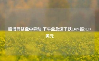 瞻博网络盘中异动 下午盘急速下跌5.00%报36.49美元