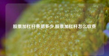 股票加杠杆费用多少,股票加杠杆怎么收费