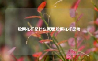 股票杠杆是什么原理,股票杠杆是啥