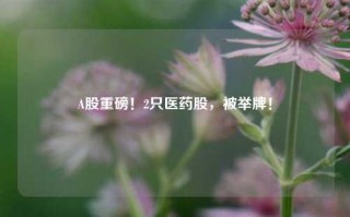 A股重磅！2只医药股，被举牌！