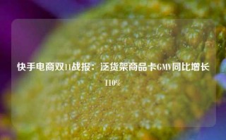 快手电商双11战报：泛货架商品卡GMV同比增长110%