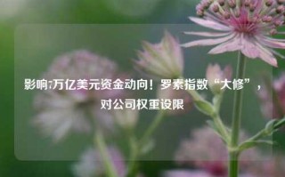 影响7万亿美元资金动向！罗素指数“大修”，对公司权重设限