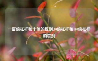 一百倍杠杆和十倍的区别,10倍杠杆和100倍杠杆的区别