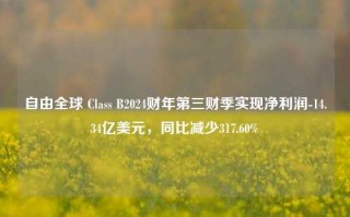 自由全球 Class B2024财年第三财季实现净利润-14.34亿美元，同比减少317.60%