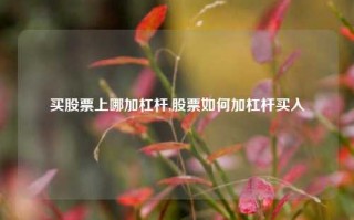 买股票上哪加杠杆,股票如何加杠杆买入