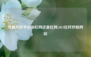 炒股杠杆平台加杠网还是杠网,2021杠杆炒股网站