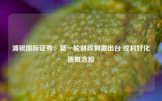 浦银国际证券：新一轮财政刺激出台 或利好化债概念股