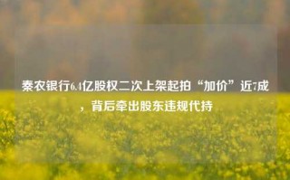 秦农银行6.4亿股权二次上架起拍“加价”近7成，背后牵出股东违规代持