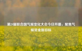 第29届联合国气候变化大会今日开幕，聚焦气候资金新目标