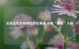 北京法巴天星财险获批筹建 小米“曲线”入股