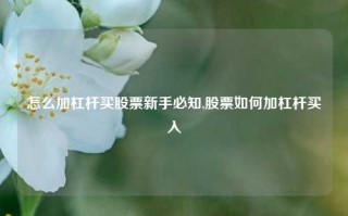 怎么加杠杆买股票新手必知,股票如何加杠杆买入