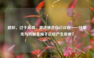 越权、过于高调、激进推进自己议程——马斯克与特朗普圈子已经产生裂痕？