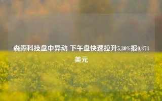 森淼科技盘中异动 下午盘快速拉升5.30%报0.874美元