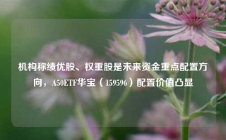 机构称绩优股、权重股是未来资金重点配置方向，A50ETF华宝（159596）配置价值凸显