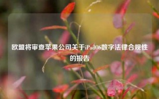 欧盟将审查苹果公司关于iPadOS数字法律合规性的报告