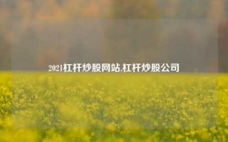 2021杠杆炒股网站,杠杆炒股公司