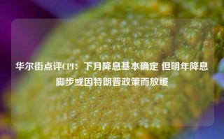 华尔街点评CPI：下月降息基本确定 但明年降息脚步或因特朗普政策而放缓