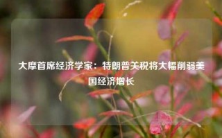 大摩首席经济学家：特朗普关税将大幅削弱美国经济增长