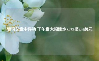 爱奇艺盘中异动 下午盘大幅跳水5.33%报2.47美元