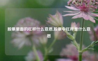 股票里面的杠杆什么意思,股票中杠杆是什么意思