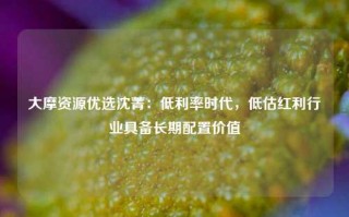 大摩资源优选沈菁：低利率时代，低估红利行业具备长期配置价值