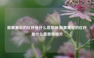 股票里说的杠杆是什么意思呀,股票里说的杠杆是什么意思呀图片