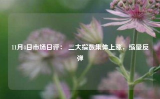 11月4日市场日评： 三大指数集体上涨，缩量反弹