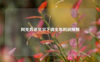 阿克苏诺贝尔下调全年利润预期