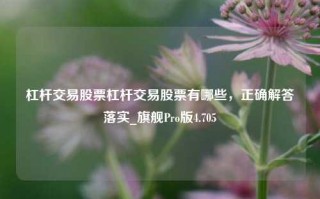 杠杆交易股票杠杆交易股票有哪些，正确解答落实_旗舰Pro版4.705