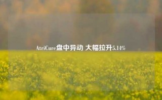 AtriCure盘中异动 大幅拉升5.14%